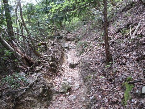 20140502hike (37)